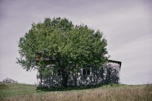 hrushchak_ukraine-leica-000024 1